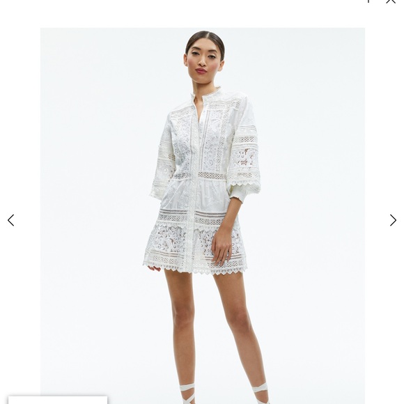 Beautiful Alice and Olivia lace dress. - Picture 7 of 7